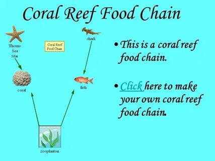 Montagem coral перевод