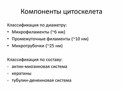 Цитоскелет функции и особенности