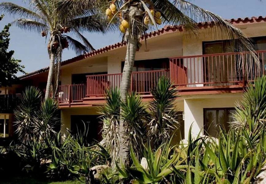 Oasis resort гоа морджим. Рива бич резорт гоа. Oasis resort 2. Oasis resort 2. Oasis beach resort 2 morjim north картинки.