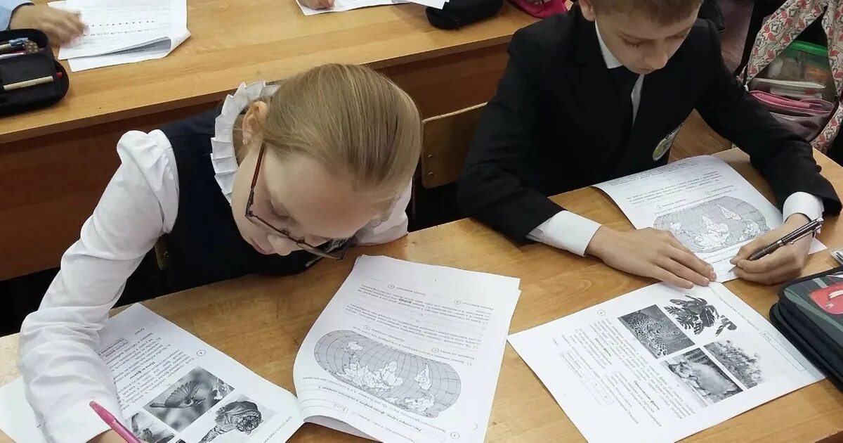 Ученики пишут контрольную. Школьники старшеклассники. Впр осенью 2022. Смешные картинки про впр в школе. Класс с учениками.