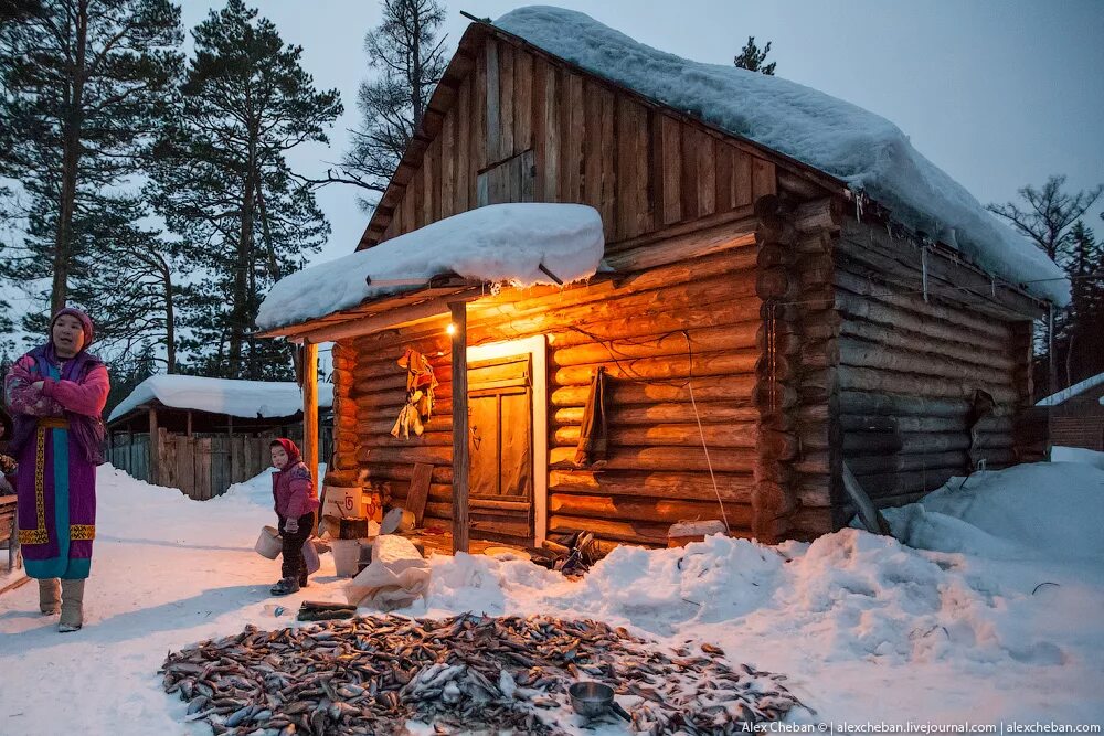 Ханты манси избушка. Чум яранга юрта. Ханты дома. Традиционное жилище манси. Ханты дома.