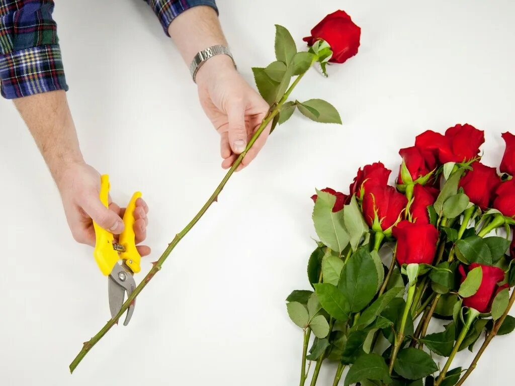 Как продлить жизнь розе в воде