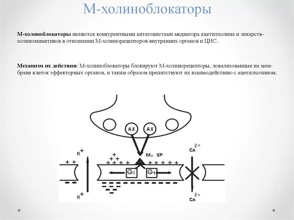Механизм действия м3 холиноблокаторов. М холиноблокаторы механизм. М-холиноблокаторы механизм действия схема. Механизм действия м холиноблокаторов. М и н холиноблокаторы.