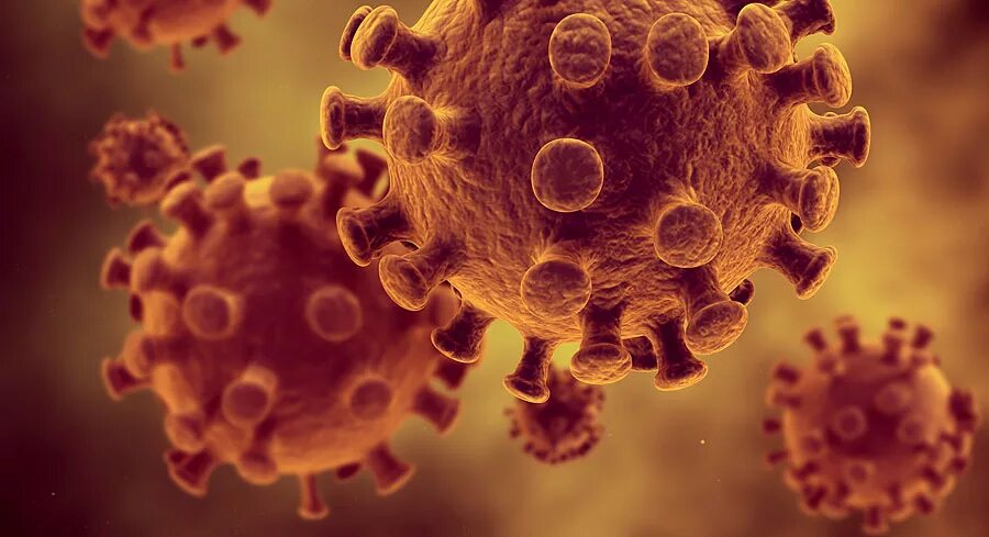 Вирусы. ВИЧ бактерия. Вирус СПИДА. ВИЧ инфекция микроскоп.