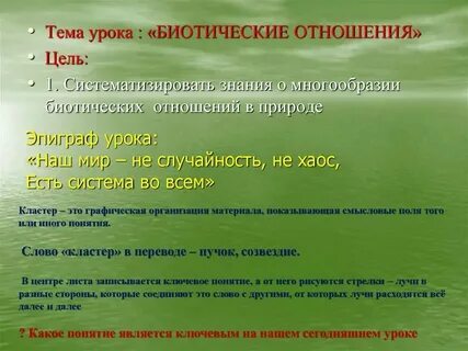 Биотические связи уровень организации