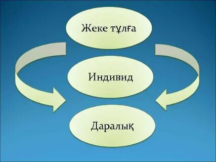 Жас гейлердің порно видеолары