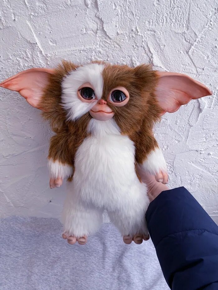 Гизмо фото. Гизмо магвай. gizmo mogwai. гизмо в смешанной технике.