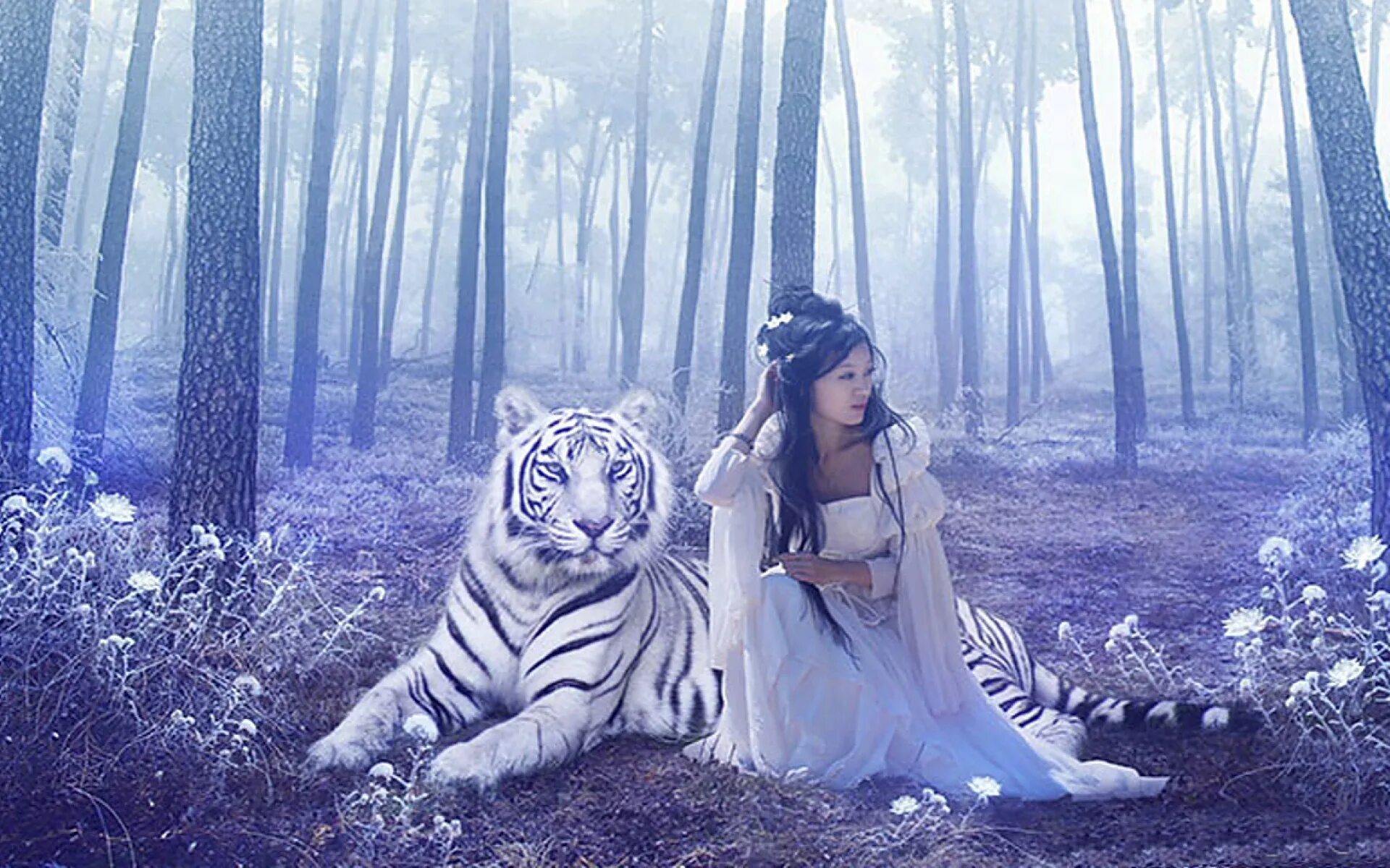 Аниме девушка тигр. Белый тигр аниме. Тигрица диана. Белый тигр. Девушка и белый тигр.