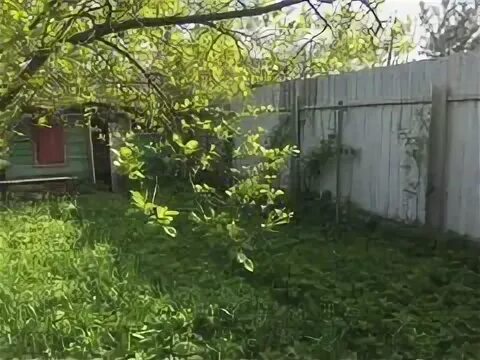 Сад 3 красногорск. Снт садовод сад 3. Сад 3 красногорск. Снт архангельское красногорск. Снт садовод сад 3.