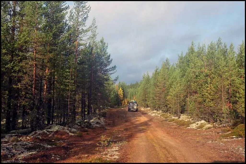 Погода лоухи норвежский сайт. Дорога Лоухи Пяозерский. Дорога Кемь Калевала. Дорога Лоухи Калевала. Калевала поселок в Карелии.