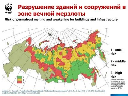 Зон сама