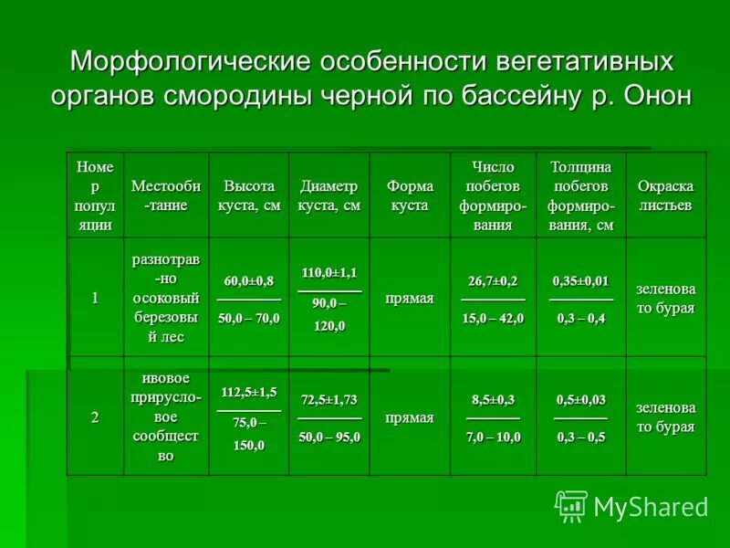 Морфологические особенности. Морфологические особенности черной смородины. Морфологические особенности особенности. Морфологические особенности кустарников. Морфологический анализ желтой