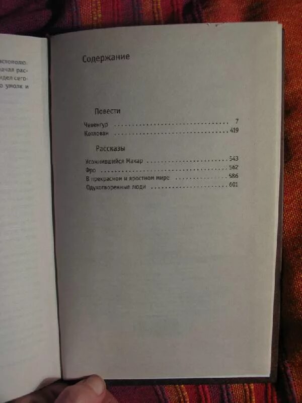 Чевенгур содержание. Чевенгур сколько страниц. в прекрасном и яростном мире сколько страниц.