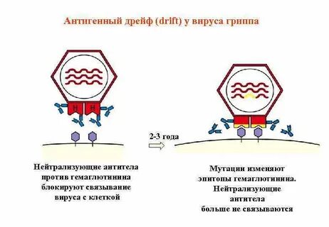 Нейтрализованный форум