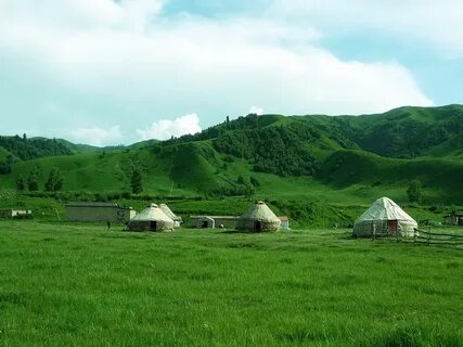 Түрлі позадағы транс әйелдердің суреттері