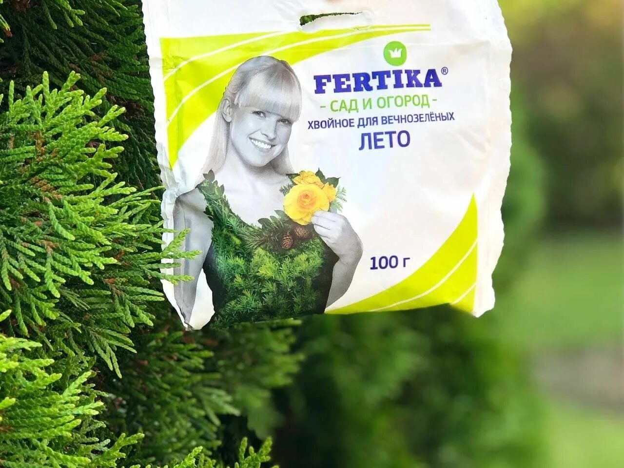 Фертика для хвойных удобрение. Фертика для вечнозеленых. Фертика жку для хвойных 1л. Фертика хвойное лето. Фертика хвойное лето.