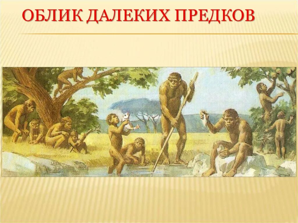 Далекими предками человека были. Облик далеких предков. Древнейшие люди. Древнейшие люди 5 класс. Презентация древние люди 5 класс.