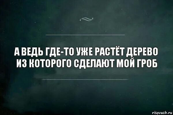 Где то уже растет дерево из которого сделают твой гроб. Мой гроб еще растет в лесу.