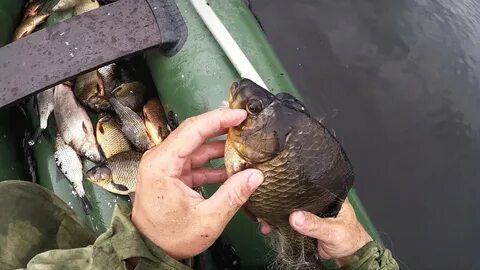 Рыбак поймал щуку и карася