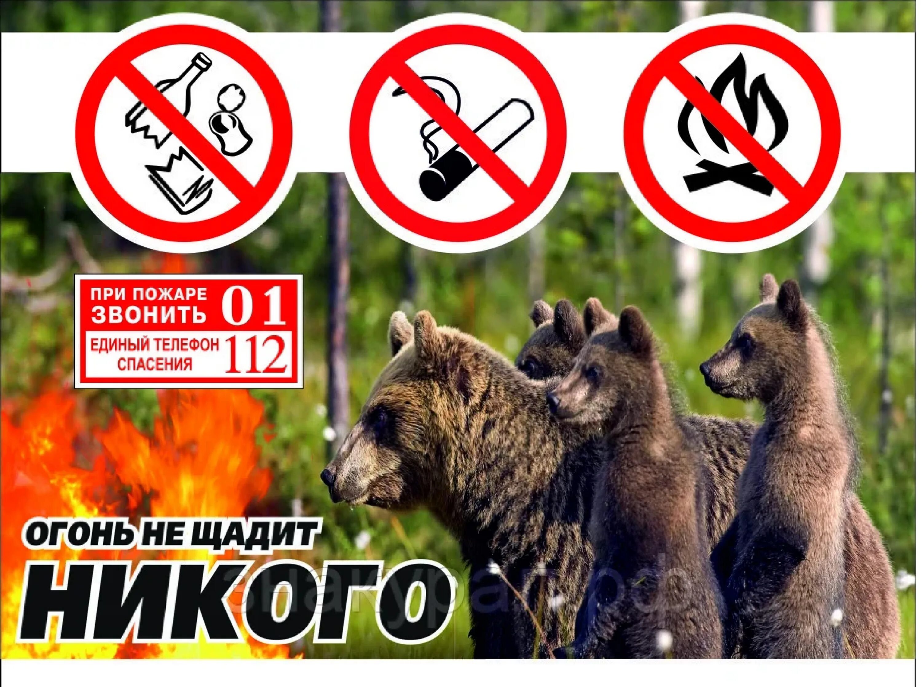 берюгите лет от пужыра. противопожарные аншлаги в лесу. аншлаг лесной противопожарный. противопожарные аншлаги в лесу. аншлаг берегите лес от пожара.