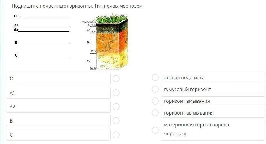 Тест по теме почвы 8 класс география