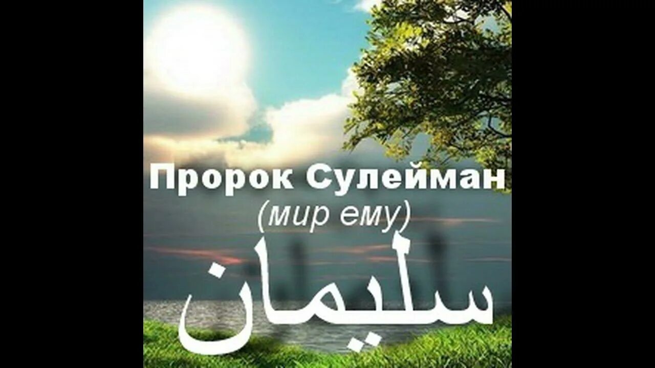 Сулейман был пророком. Пророк сулейман. пророк сулейман картинки. пророк сулейман мир ему. пророк сулейман история.