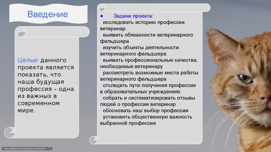 Проект на тему Ветеринария. Задачи ветеринара. Актуальность ветеринарии. Значимость профессии ветеринар. Цель ветеринара