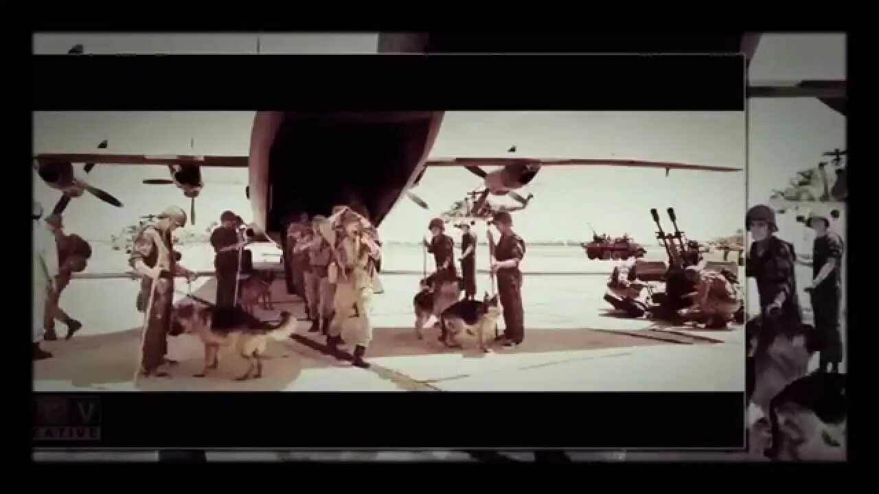 За родину 1941-1945. Разве погибнуть ты нам завещала родина. Народ поднялся на защиту родины. Смородина лесная дикорастущая. Смородина умирать за родину.