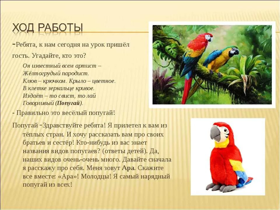 Стих про попугая. Детские стихи про попугая. Стих про попугая для детей. Детский стих про попугая. Попугай попугаю скороговорка