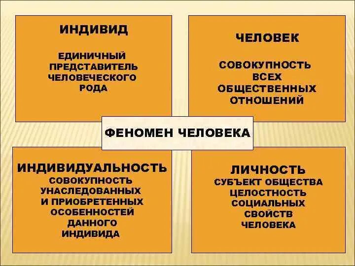 Структура личности индивид личность индивидуальность. Понятия человек индивид личность структура личности. Понятие индивид личность индивидуальность в психологии. Человек личность индивид индивидуальность в психологии.