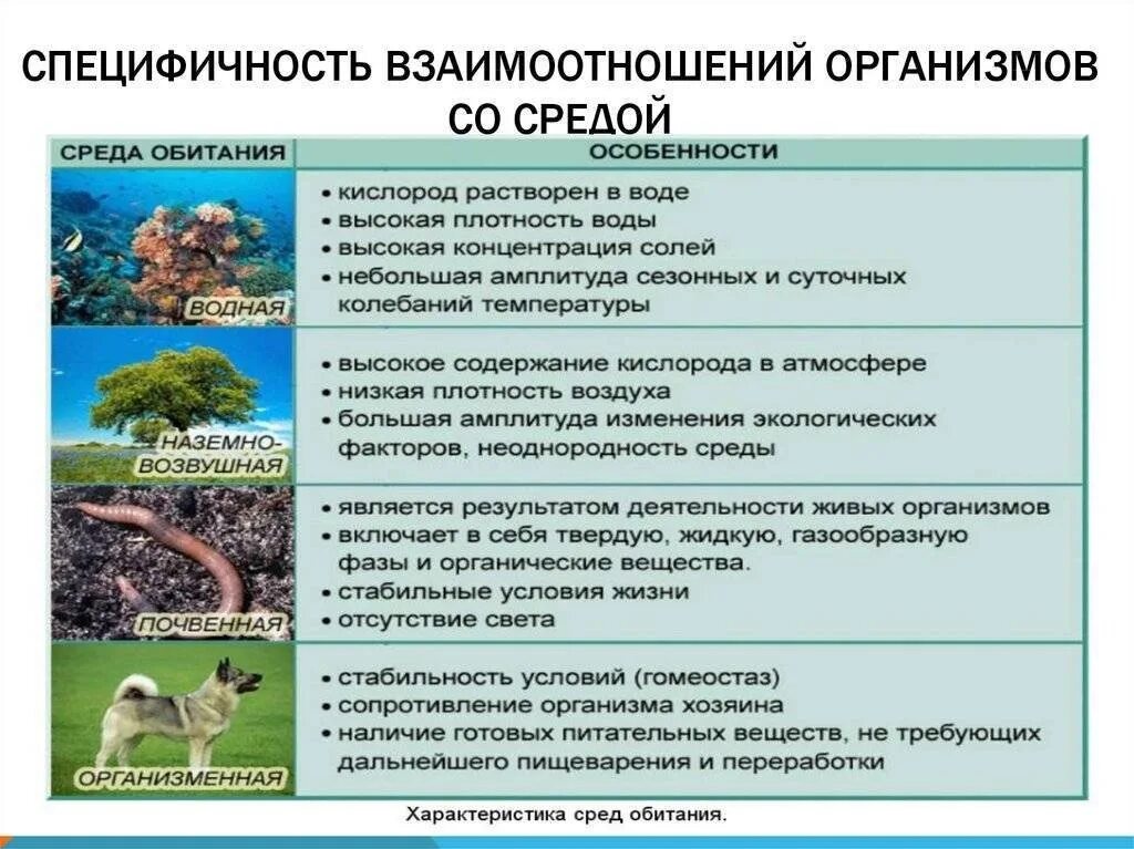 Приведите примеры изменений условий среды. Среды обитания организмов. Среды обитние организмов. Организмы разных сред обитания. Среда обитаниеорганизмов.