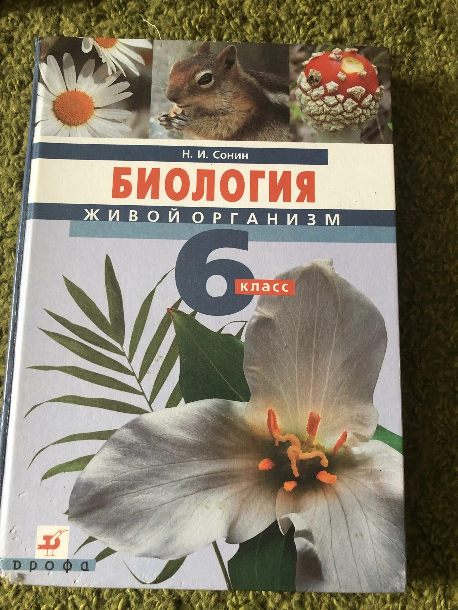 Учебник биологии новый фгос. Н. И. Сонин биология 6 класс. Учебник н.и. Сонина "биология. Живой организм".. Учебник по биологии 6 класс н.и Сонин.