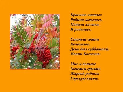 Цитаты про рябину