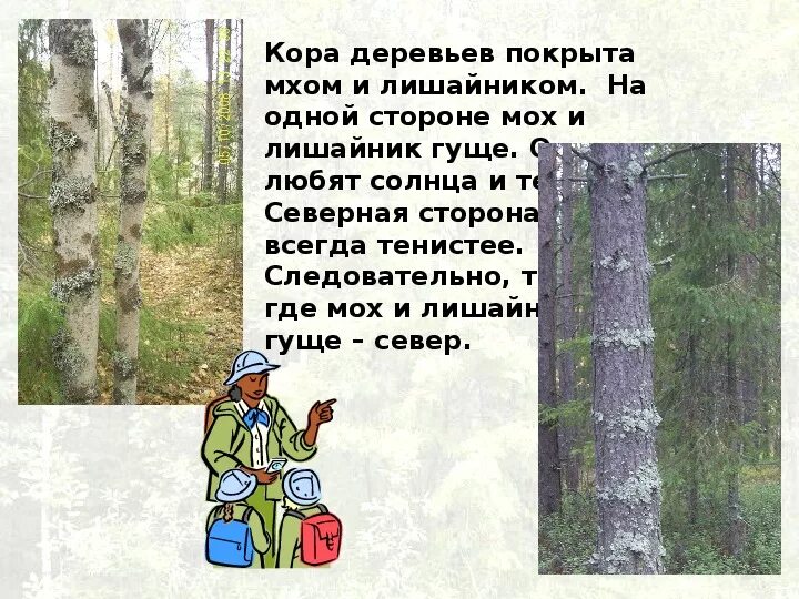 Васюткино озеро. Астафьев в. "Васюткино озеро". Иллюстрация к рассказу Васюткино озеро. Васюткино озеро книга. Названия местности где происходит действие васюткино озеро