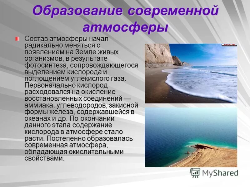 Влияние воздуха на живые организмы. Современный состав атмосферы. Влияние эволюции живого на состав атмосферы. Воздействие живых организмов на атмосферу. Образование современной атмосферы.