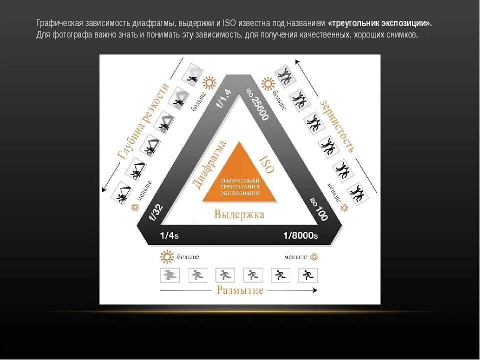 Какие экспозиции представлены