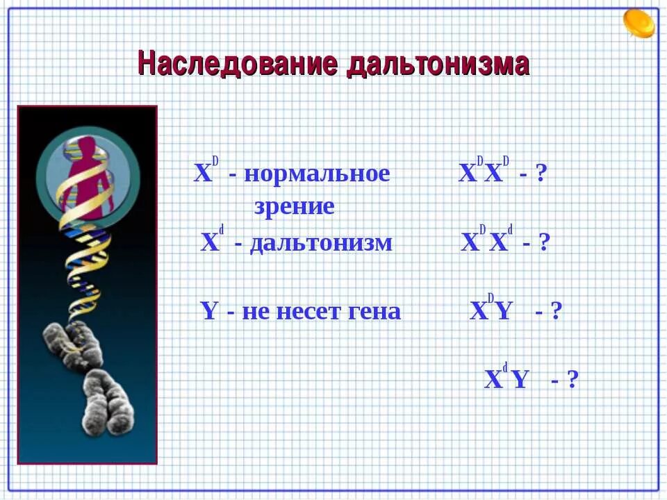 Ген дальтонизма. Наследование дальтонизма. Дальтонизм Тип наследования. Наследование дал тонизма. Метод наследования дальтонизма