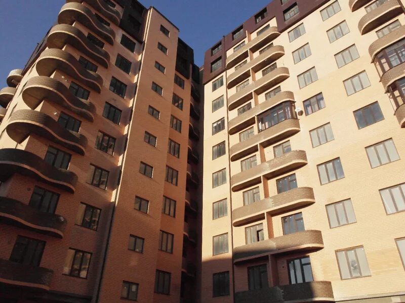 секции махачкала. дом каспий сити махачкала. секции махачкала. зал борьбы гамида гамидова. волная борба в душанбе.