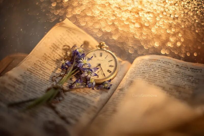 Декабрь месяц чудес и волшебства. Время чудес и волшебства. Природа фантазия творчество. Новогоднее чудо. Верь в новогоднее чудо.