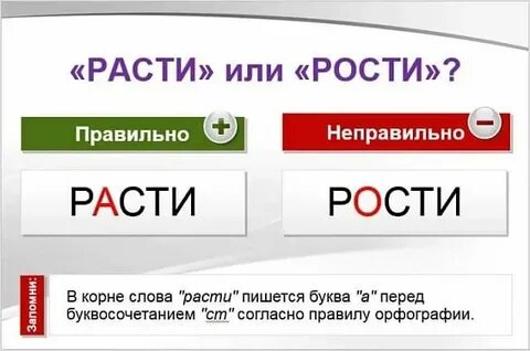 Как она росла