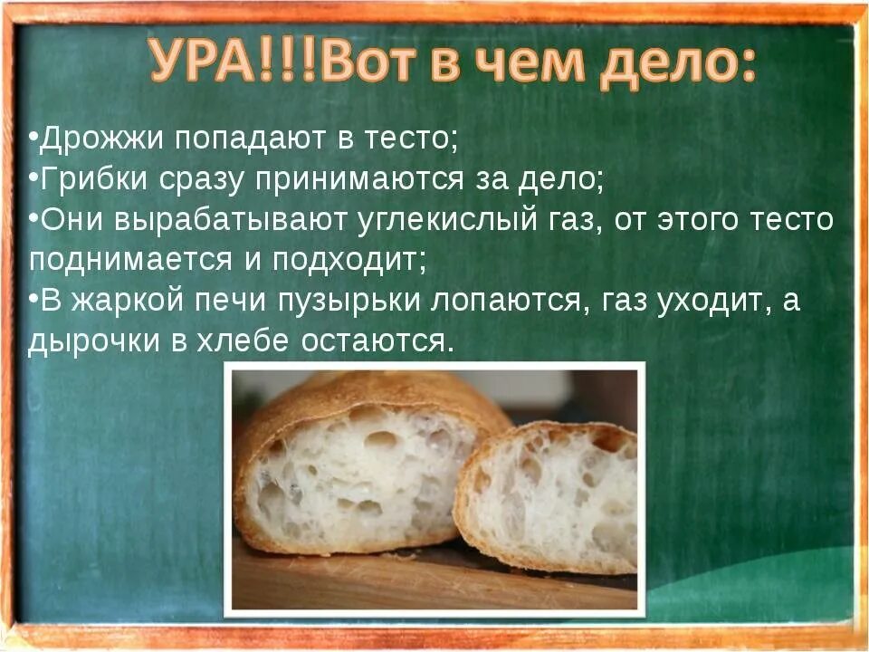 Почему сухие дрожжи не поднимаются. Дрожжи. Тесто на хлеб дрожжевое. Полезные дрожжи для хлеба. Полезные дрожжи для организма.