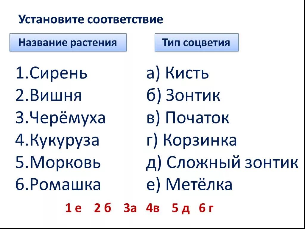 Установите соответствия в названиях произведений