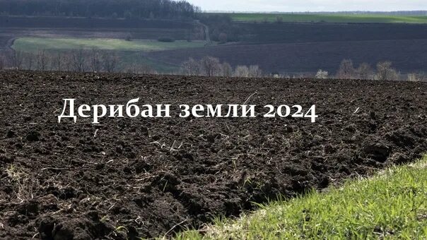 Сколько стоит земля в 2024 году