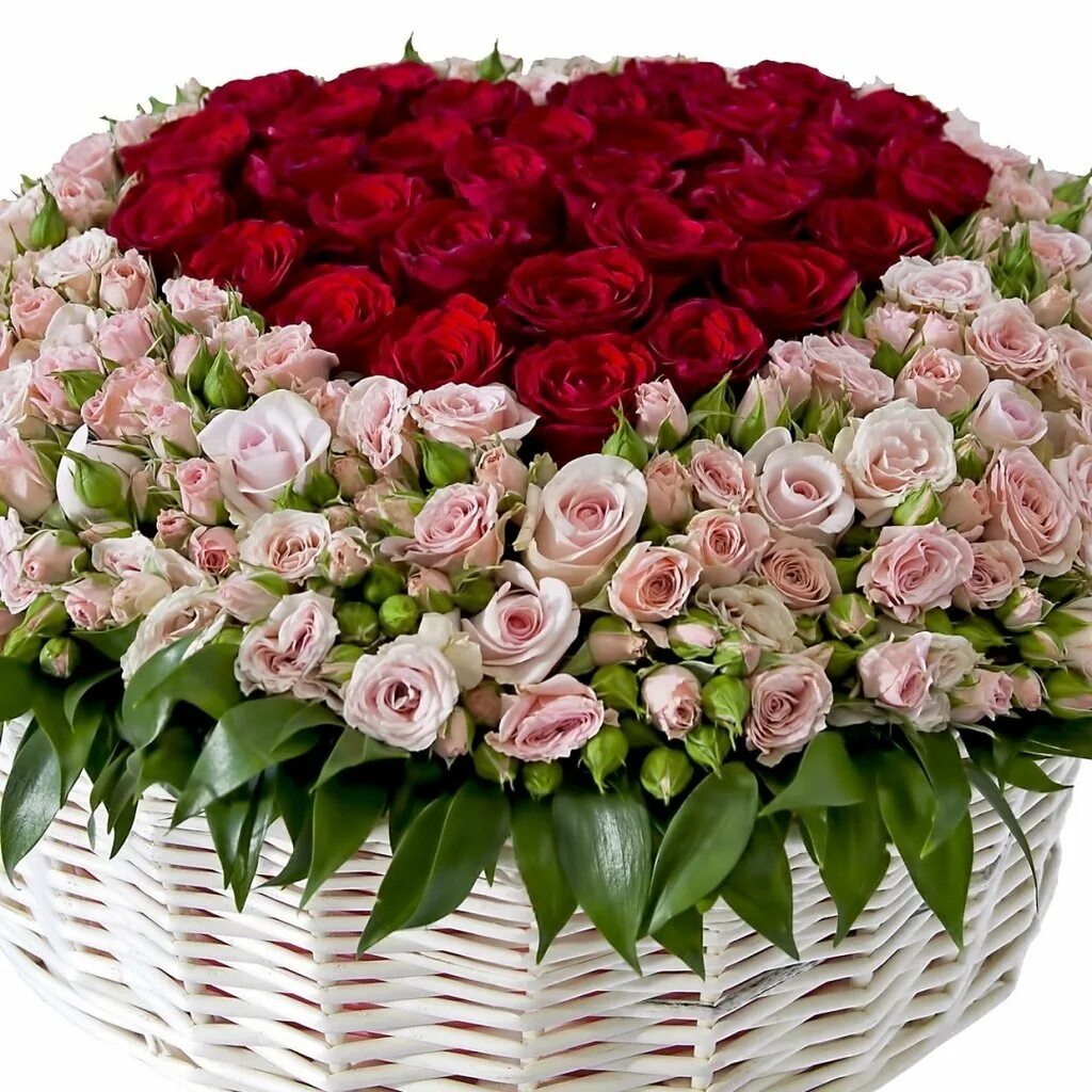 С днем рождения огромные розы. Красивый букет цветов. Букет шикарный. Роскошные цветы. Шикарный букет роз.