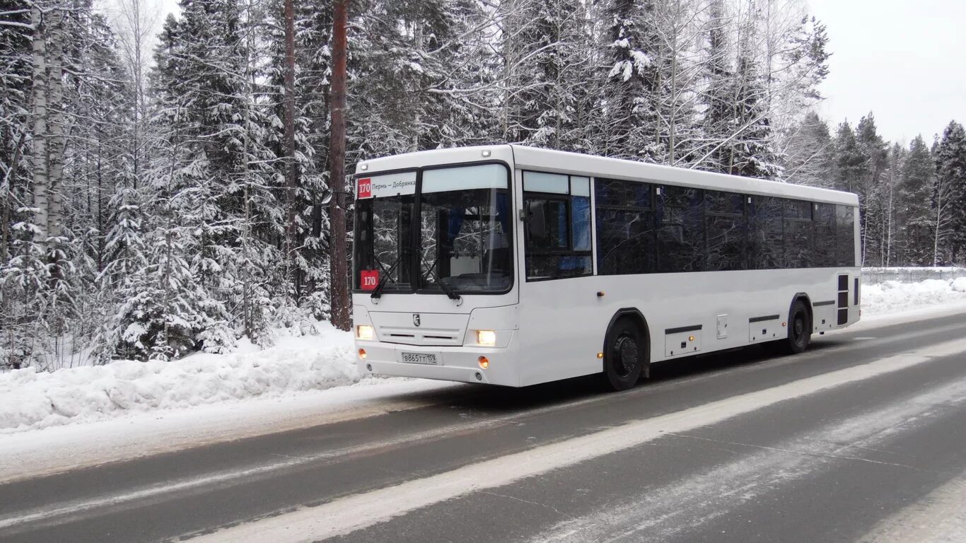 170 Автобус Добрянка Пермь. Автобус зима. Автобус зимой. Маршрутка зима. Маршрут 170 остановки