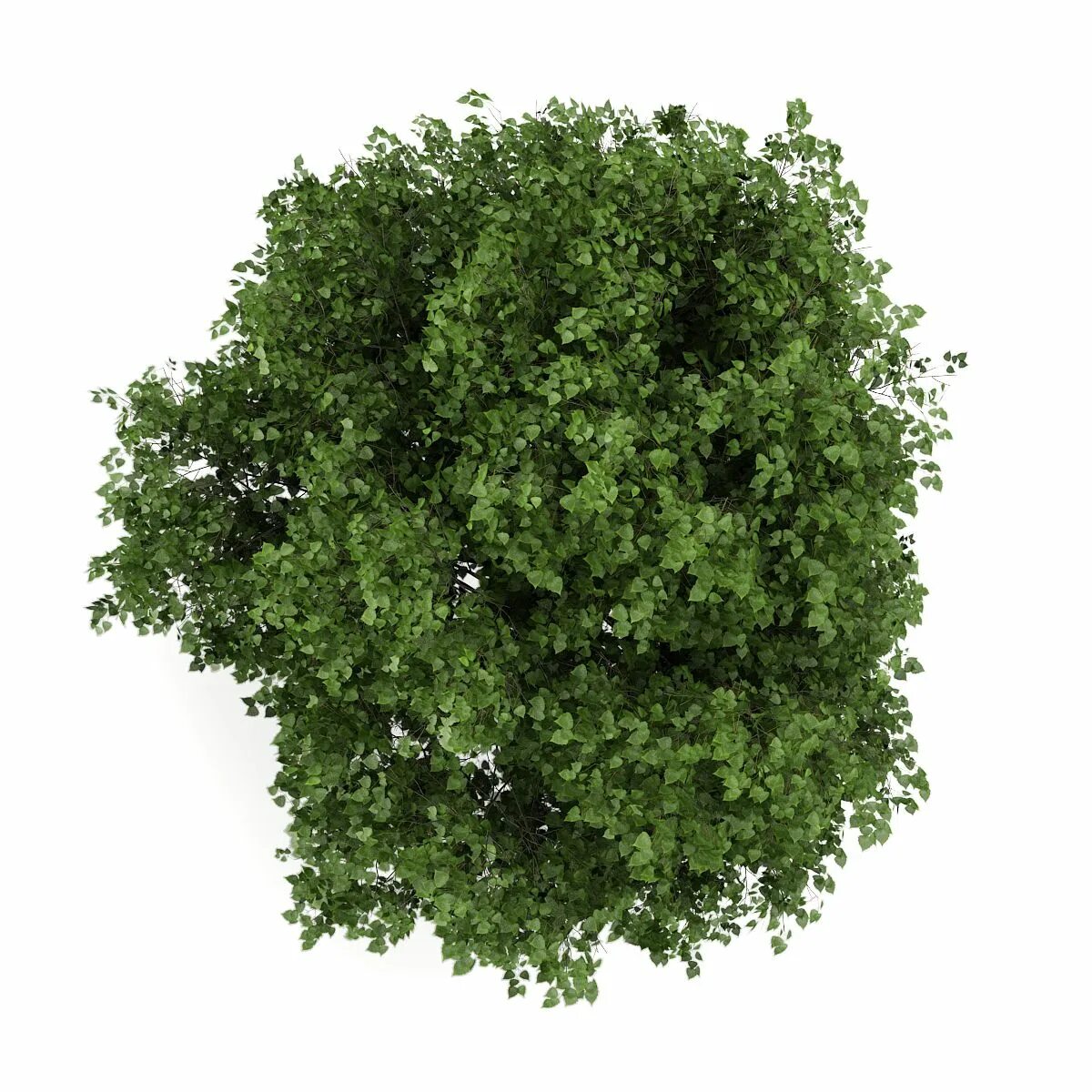 Trees token