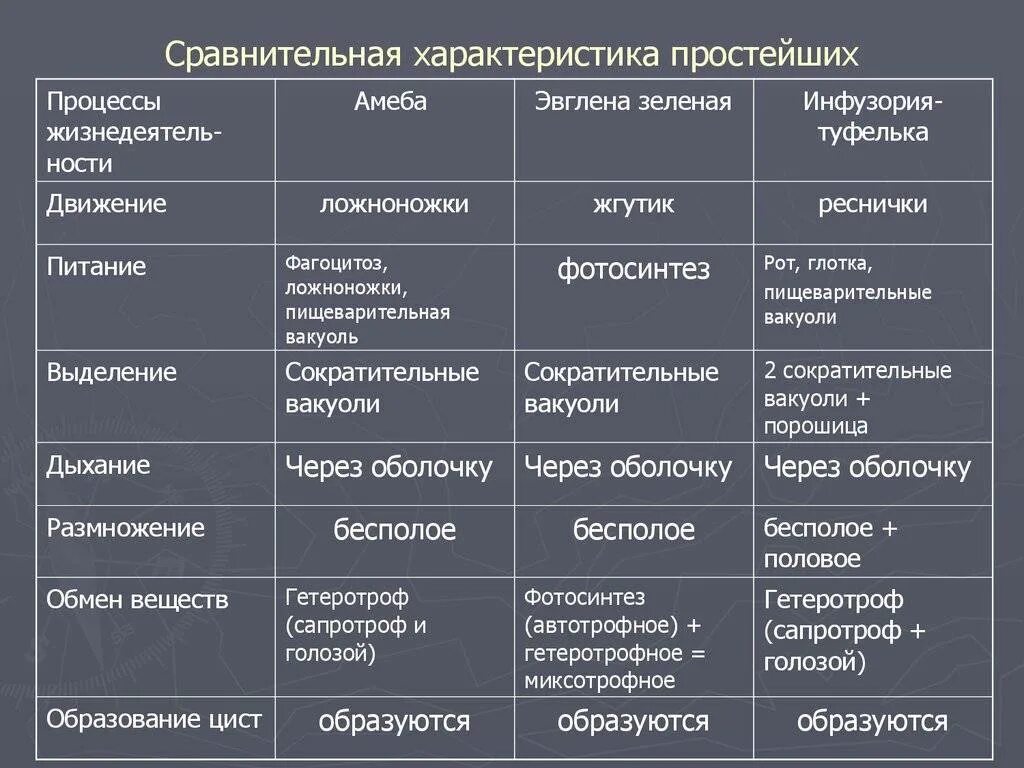 Сравнение с другими видами. Общая характеристика простейших 7 класс биология таблица. Общая характеристика простейших 7 класс таблица. Таблица по биологии 7 класс характеристика простейших. Сравнительная характеристика представителей простейших таблица.