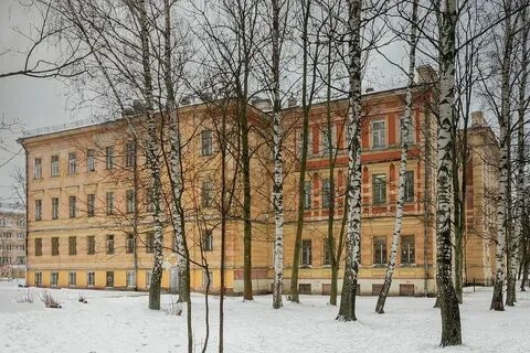 Пту пушкина