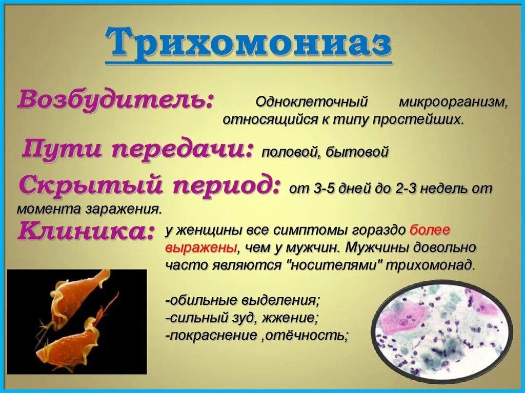 Трихомоноз у мужчин симптомы. Влагалищная трихомонада заболевание. Трихомониаз возбудитель инфекции. Трихомониаз путь передачи возбудителя. Трихомонада возбудитель трихомониаза.