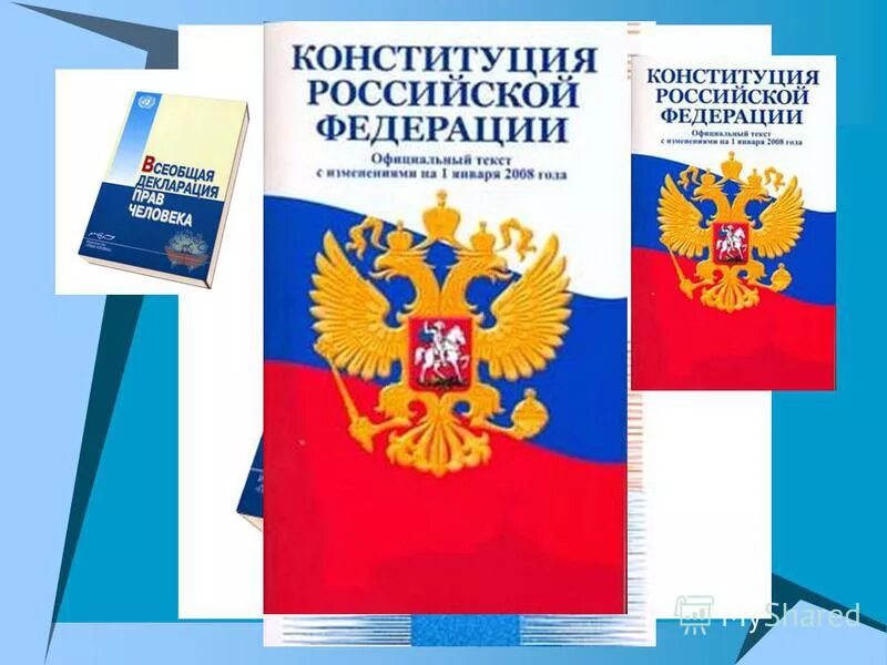 Гражданин дети конституция рф. На правах живых.